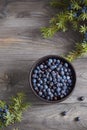 Juniper berries in a bowl with a sprig Royalty Free Stock Photo