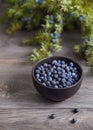 Juniper berries in a bowl with a sprig Royalty Free Stock Photo