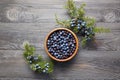 Juniper berries in a bowl with a sprig Royalty Free Stock Photo