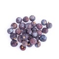Juniper berries isolated on a white background Royalty Free Stock Photo