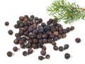 Juniper Berries with Juniper Twig on white Background - Isolated Royalty Free Stock Photo