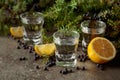 Juniper berry gin with lemon slices Royalty Free Stock Photo