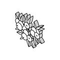 juniper berry isometric icon vector illustration Royalty Free Stock Photo