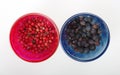 Juniper berry and pink pepper in two little glasses. Royalty Free Stock Photo