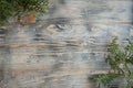 Juniper branches decor wooden background timber