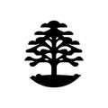 Juniper forest tree icon