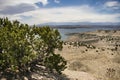 Juniper,Lake, and Mountains