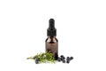 Juniper latin Juniperus communis berry essential oil in brown dropper bottle.