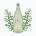 Juniper oil bottle. Evergreen twigs. Essential oil for women. Elements for your design isolated on white background. For logos,