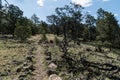 Juniper and Pinon campground hiking trail