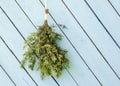 Juniper sauna whisk broom also known as vasta, vihta or venik hanging and drying on the wall, blue wooden background.