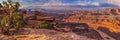 Juniper Tree Dead Horse Point River Panorama Royalty Free Stock Photo