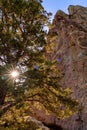 Juniper trees at sunset along the Crooked River in Smith Rock State Park Royalty Free Stock Photo