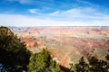 Juniper trees at the top of Grand Canyon South Rim Arizona in winter Royalty Free Stock Photo