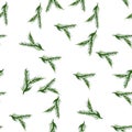 Juniper twig seamless pattern on white background