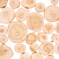 Juniper wood disks background Royalty Free Stock Photo