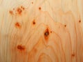 Juniper wood texture Royalty Free Stock Photo