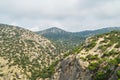 Junipers and pines on the slopes Royalty Free Stock Photo