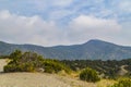 Junipers and pines on the slopes Royalty Free Stock Photo