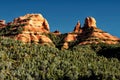Junipers and red rock formations in Sedona Arizona Royalty Free Stock Photo