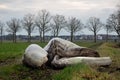 Junk dumped in rural area near city