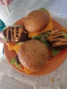 Junk food, Chedar cheese Burger Royalty Free Stock Photo