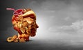 Junk Food Concept Royalty Free Stock Photo