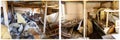 Junk household trash storage furniture collage