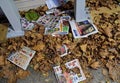 Junk mail catalogs, newspaper, ads, etc. scattered on mailbox floor