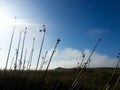 junks with sky at dusk background Royalty Free Stock Photo