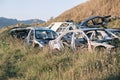 Junkyard, car dump, scrap metal. Bunch of damaged broken rusty cars overgrown with grass near the caucasus's largest