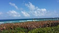 Juno beach pier