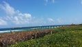 Juno beach pier