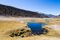 Junthuma geysers, formed by geothermal activity. Bolivia