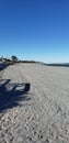 Jupiter beach florida shells coast