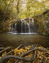 Jur-Jur Waterfall . Roots with yellow leaves in the foreground. Vertical image