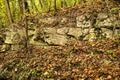 Jura limestone shifts of the Swabian Alb