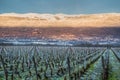 Jura Mountain And Vineyard Royalty Free Stock Photo