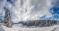 Jura Mountain Winter Landscape Royalty Free Stock Photo