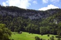 Jura mountains summer landscape Switzerland. Vibrant green grassland, old barn, coniferous trees at the foot of the rock wall,