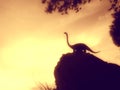 Jurassic animal silhouette at sunset. Majestic prehistoric animal.