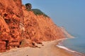 Jurassic Coast Royalty Free Stock Photo
