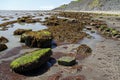 Jurassic Coast famous for fossils