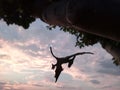 Jurassic. Majestic flight of a prehistoric animal flying over the Iberian Peninsula. Rural area at sunset.