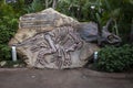 Jurassic Park Fossil Royalty Free Stock Photo