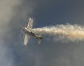 Sukhoi Su-31 plane, Jurgis Kairys Vostok Europe