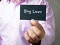 Juridical concept about Dog Laws with phrase on the piece of paper