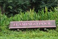 Jurong Bird Park - Flamingo pool - Singapore tourism