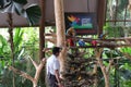 Jurong Bird Park - Scarlet Macaw and Hyacinth Macaw - Singapore tourism