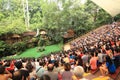 Jurong Bird Park in Singapore